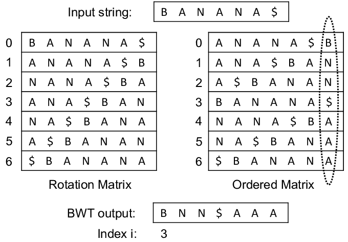 Visual Example of Burrows-Wheeler Transform